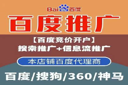 经典案例：专业SEM托管如何实现ROI最大化